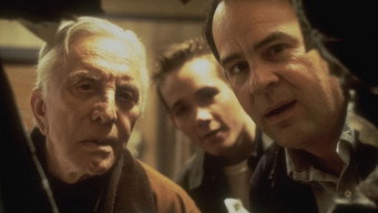 Diamonds (1999)