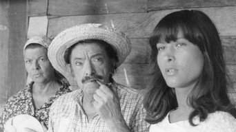 Mazzaropi - A Banda Das Velhas Virgens