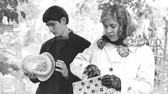 Довгі проводи (1971)