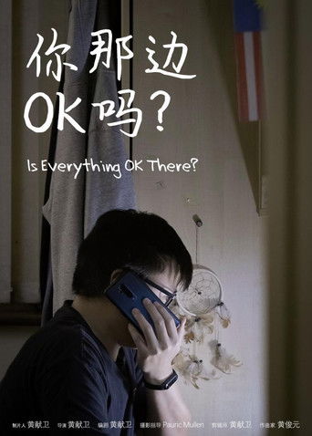 Is Everything Ok There? poster