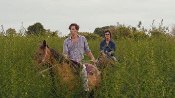 Galeria 4 - Penélope