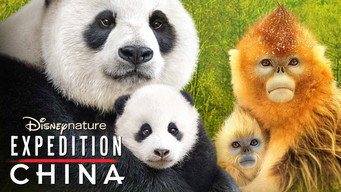 #5 Expedition China