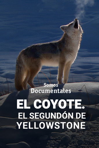 Poster de El Coyote. El segundón de Yellowstone