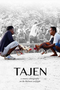 Tajen poster