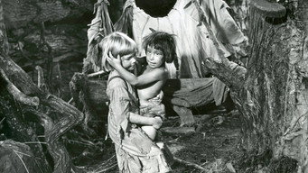 Bumpy (1981)