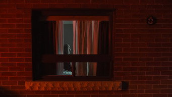 #5 Stalkers