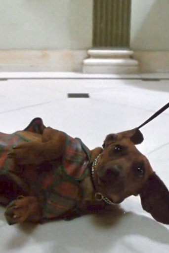 Dog (uncredited)