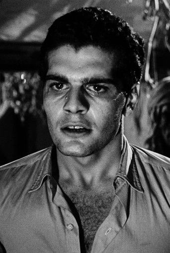 The Blazing Sun poster 6