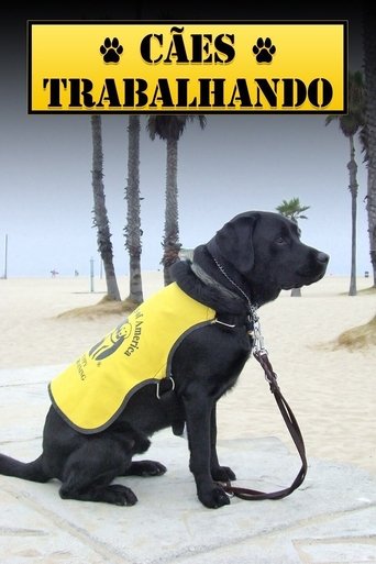 Blue-Collar Dogs: Season 1