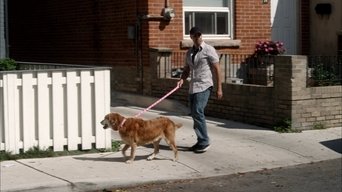 Cena de Episódio 11