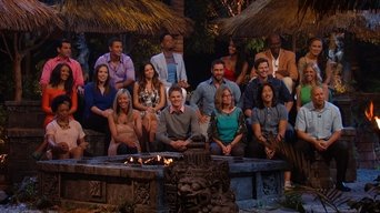 Survivor S28E14 poster