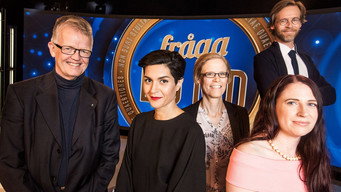 #4 Fråga Lund