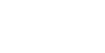 Liar logo