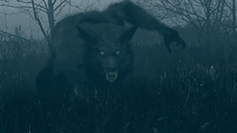 The Bray Road Beast (2018)