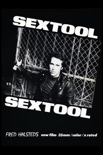 Poster of Sextool