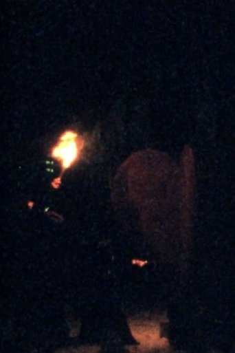 Festival of Light (2007)