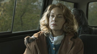 La farfalla impazzita (2025)