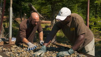 The Curse of Oak Island S8E10 poster