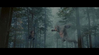 #4 Дикун Шеньнуна