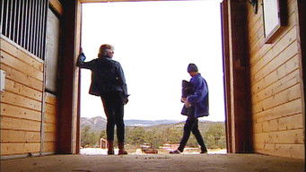 Survivor S3E15 poster