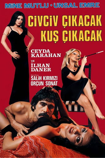 Civciv Çıkacak Kuş Çıkacak (1975年)のポスター画像 - FindKey