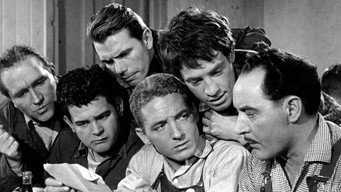 Sunday Buddies (1958)