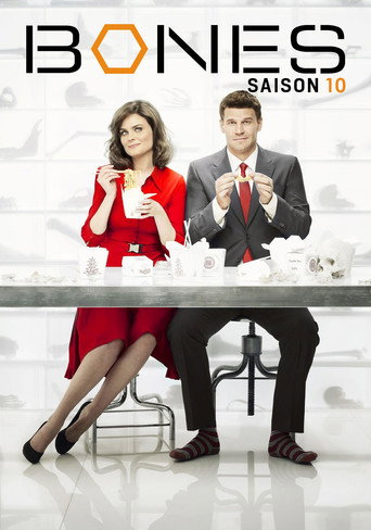 Bones - S10 - Épisode 2 : La conspiration (3/3) - Affiche
