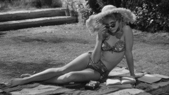 Galeria 3 - Lolita