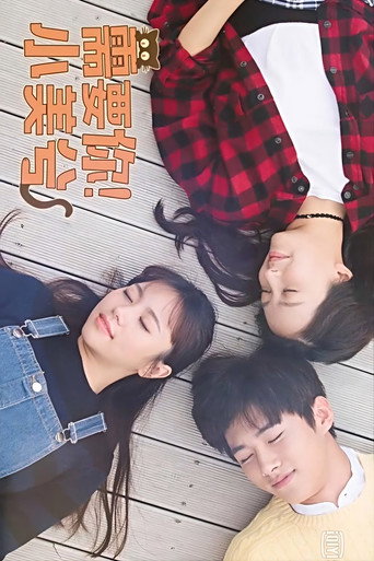 맵시가 필요해 — Série en streaming