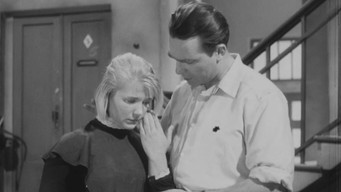 Дикий собака дінго (1962)