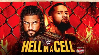 #4 WWE Hell in a Cell