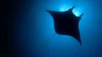 Planeta azul - S0E01