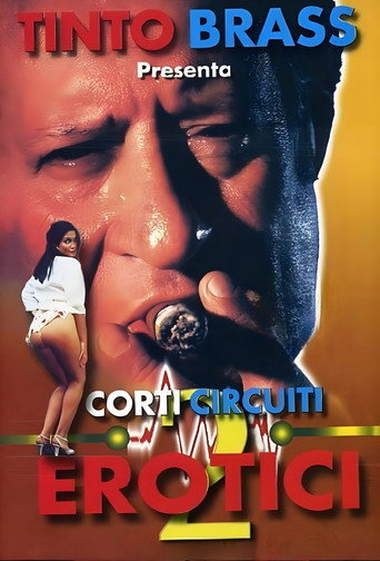 Corti circuiti erotici Vol.2