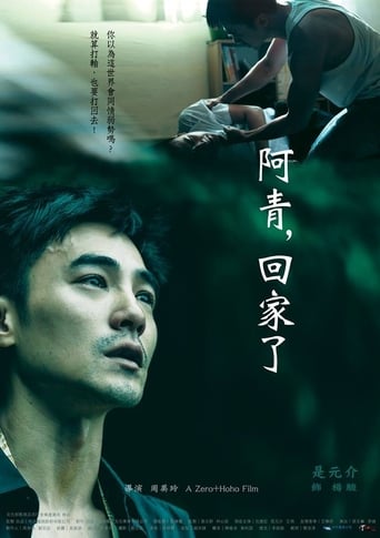 Poster of 阿青，回家了