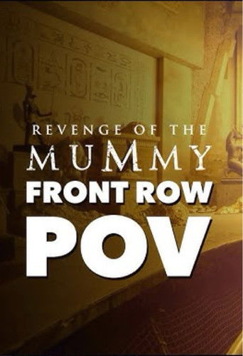 Revenge Of The Mummy: The Ride | Official Ride POV | Universal Studios Florida