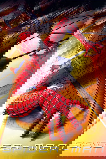 Spider-Man poster image