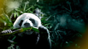 China's Hidden Kingdoms (2020)