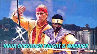 #6 Ninja Operation: Knight and Warrior