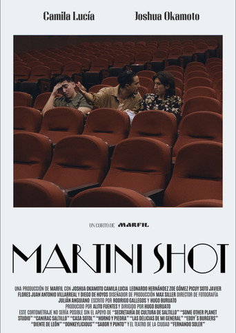 Poster 3