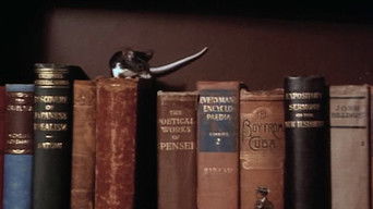 Episode 12 — The Anthem Sprinters