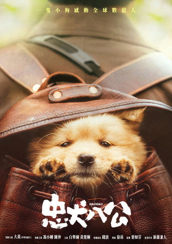 忠犬八公 海報