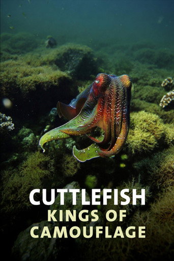 Cuttlefish: Kings of Camouflage