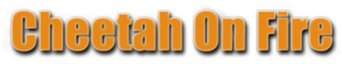 Cheetah on Fire logo