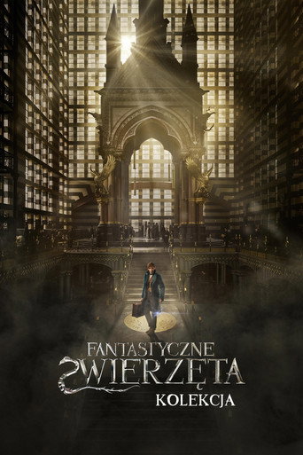 Fantastyczne zwierzęta – Kolekcja