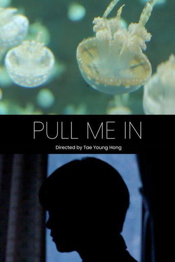 Pull Me In poster