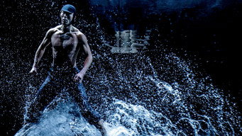 A Swan Lake (2014)