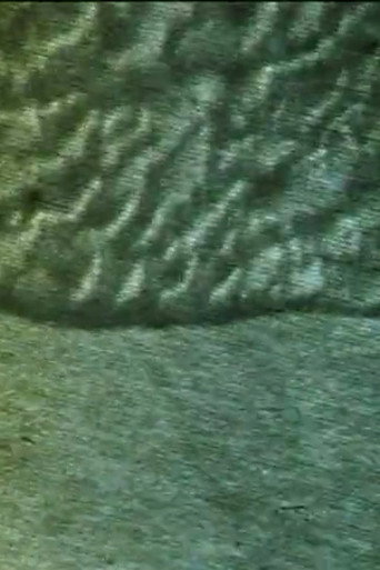 Cyclus (2007)