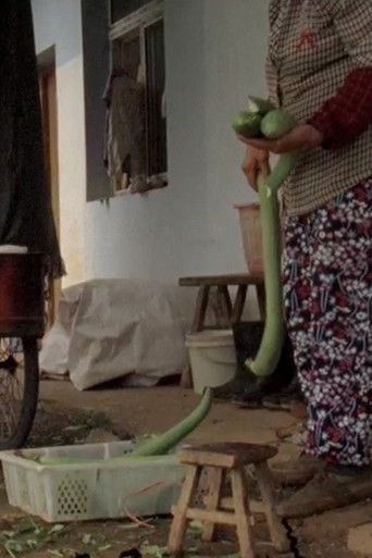 Is There Something Else I’ve Lost? poster