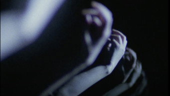 #5 XX: Beautiful Prey