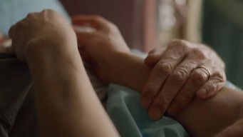 Episode 1 — Denial "Stung By A Thousand Bees"